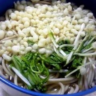 水菜のたぬき蕎麦